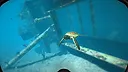 World of Diving Screenshot 9