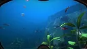 World of Diving Screenshot 11