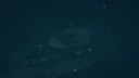 World of Diving Screenshot 19