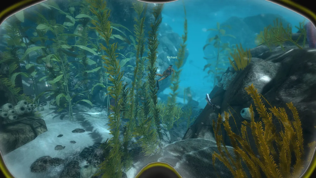 World of Diving Screenshot 16