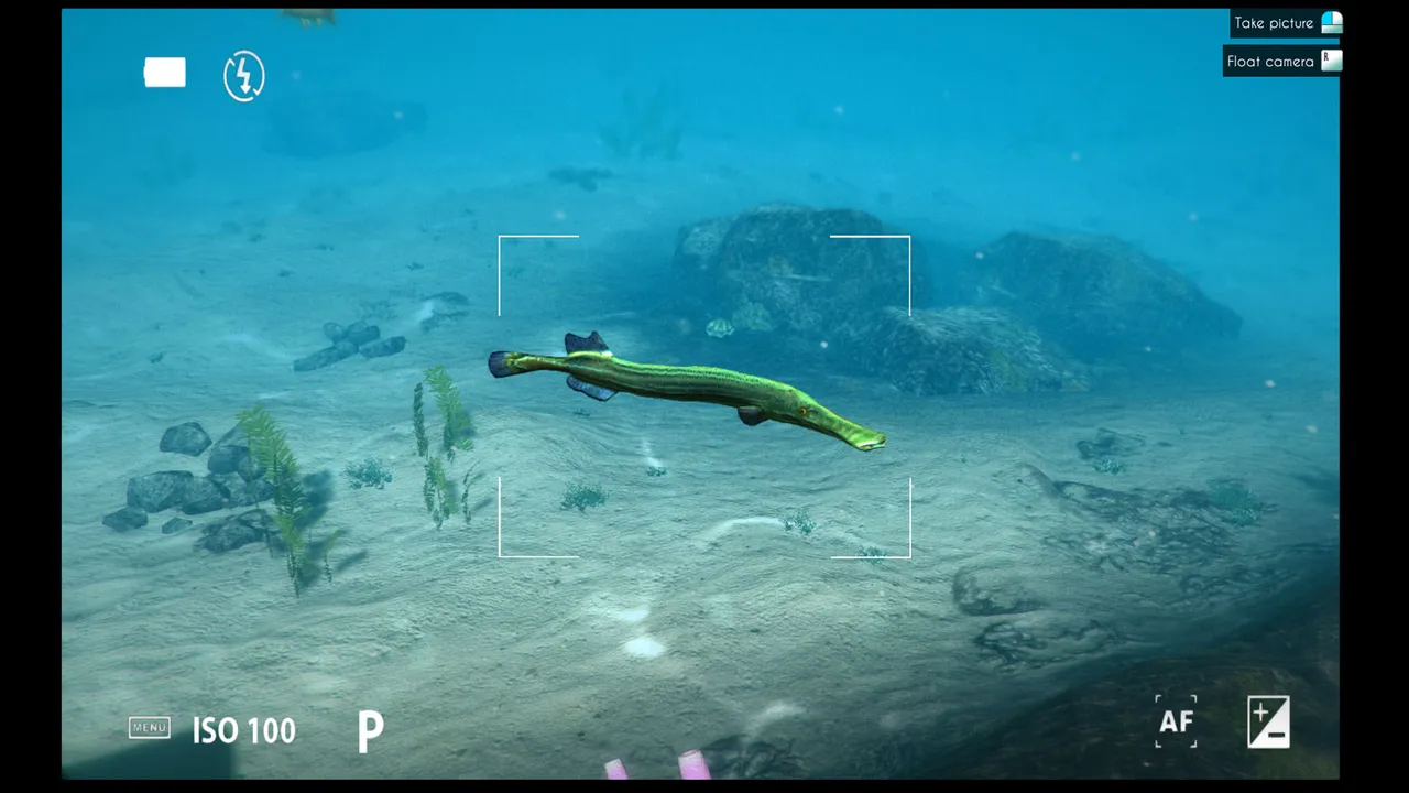 World of Diving Screenshot 26
