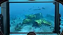 World of Diving Screenshot 5