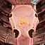 Platform Fiesta icon