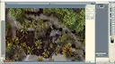 Fantasy Grounds - FG Jungle Map Pack 3 Screenshot 4