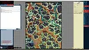Fantasy Grounds - Starfinder RPG - FlipMat - Forest Moon Screenshot 4