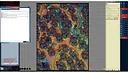 Fantasy Grounds - Starfinder RPG - FlipMat - Forest Moon Screenshot 2