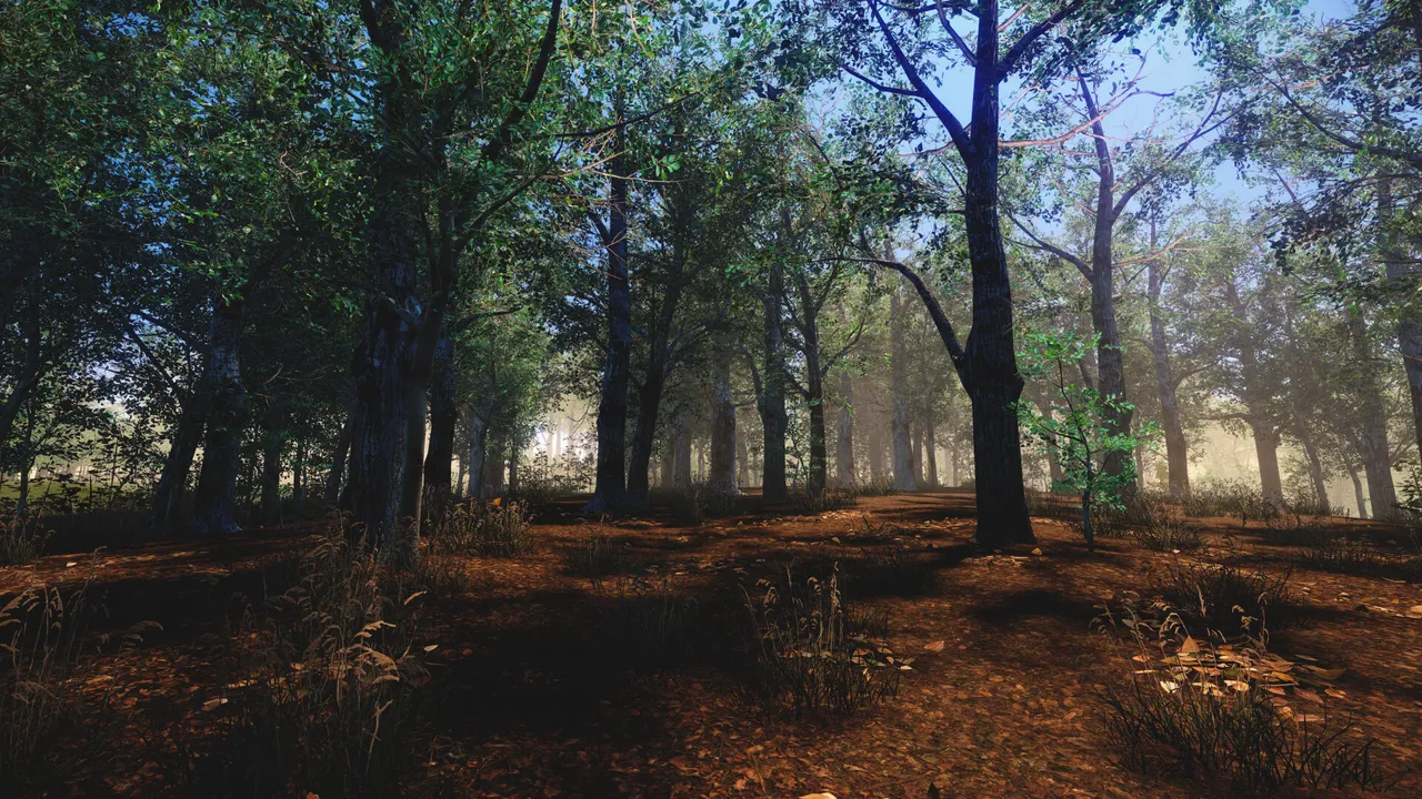 Still Wild Screenshot 11