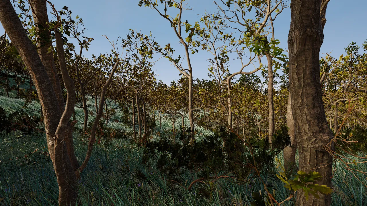 Still Wild Screenshot 18