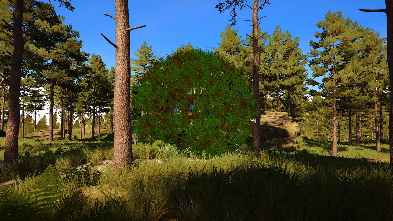 Still Wild Screenshot 10