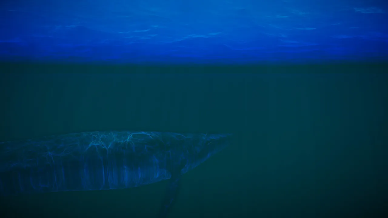 Still Wild Screenshot 6