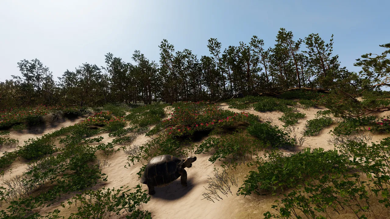 Still Wild Screenshot 13