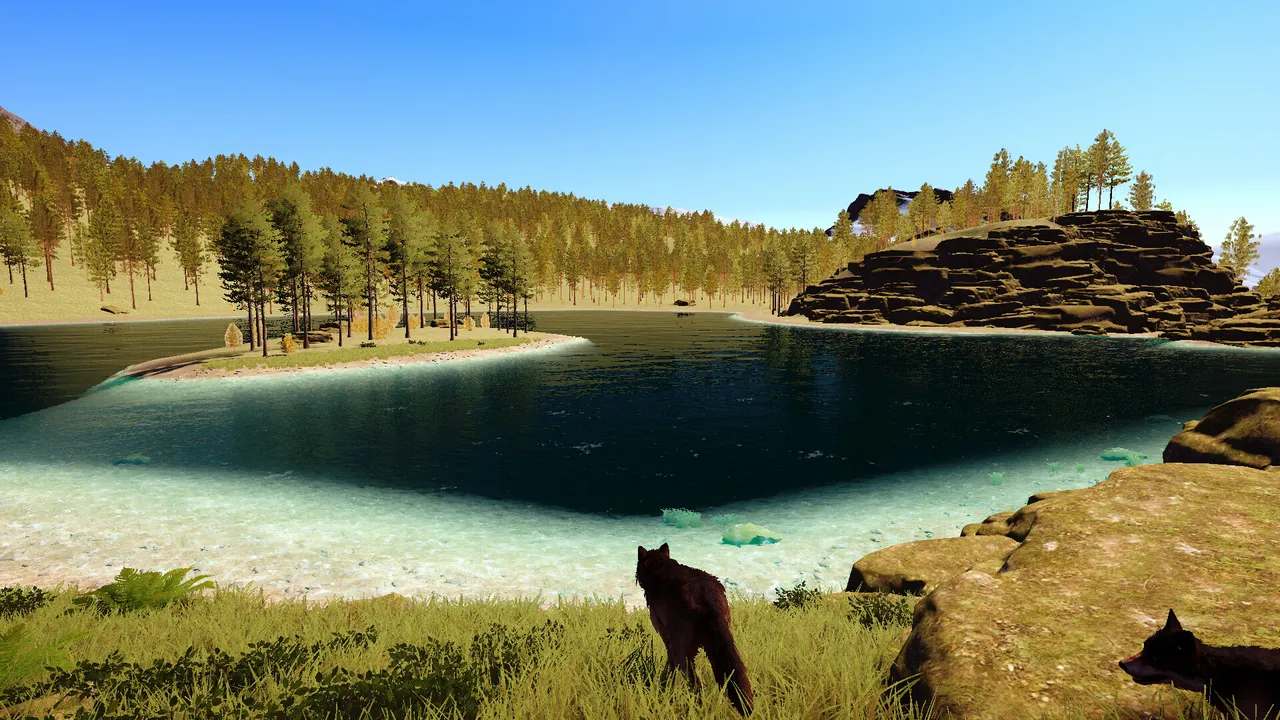 Still Wild Screenshot 1