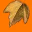 Autumn Unlocked icon