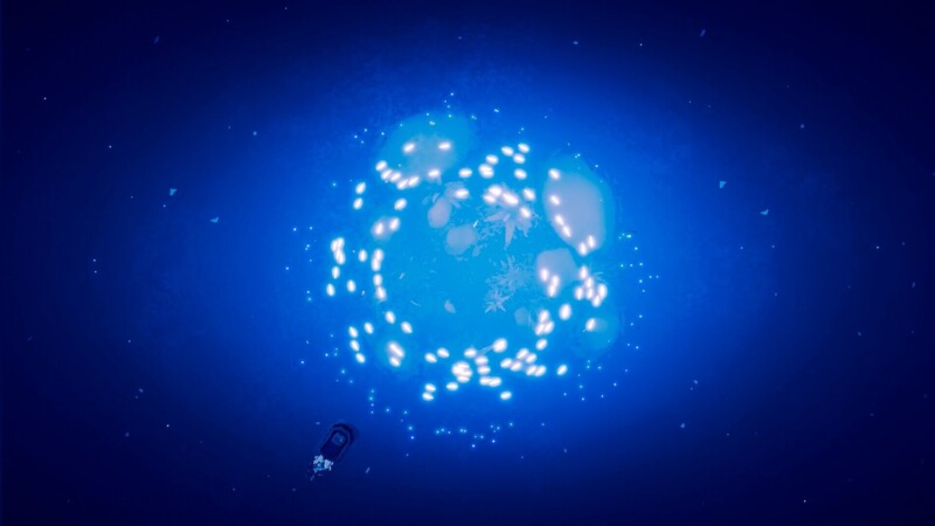 Shippin Demo Screenshot 3