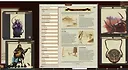 Fantasy Grounds - Pathfinder RPG - Pathfinder Companion: People of the River Screenshot 4