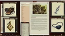 Fantasy Grounds - Pathfinder RPG - Pathfinder Companion: Merchant's Manifest Screenshot 3