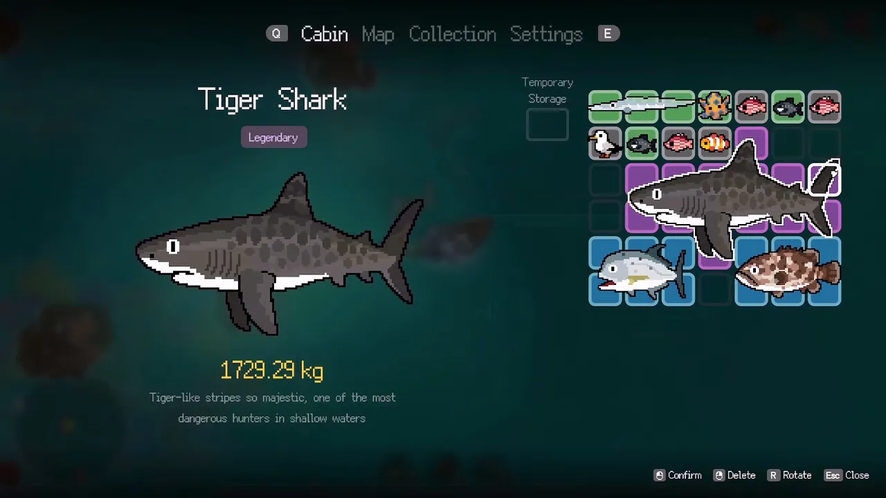 The Little Cat and the Sea Screenshot 5
