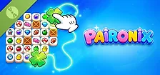 Paironix Demo