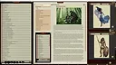 Fantasy Grounds - Pathfinder RPG - Pathfinder Companion: Heroes of Golarion Screenshot 2