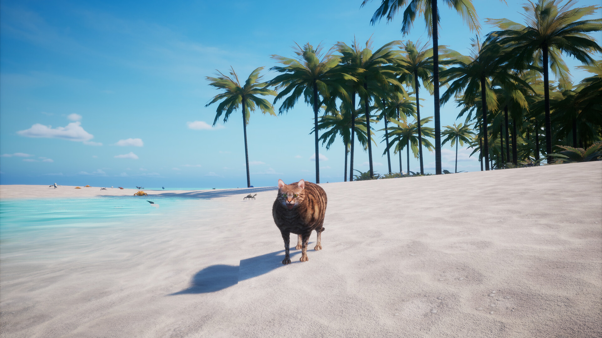 Chonky Cat Screenshot 4