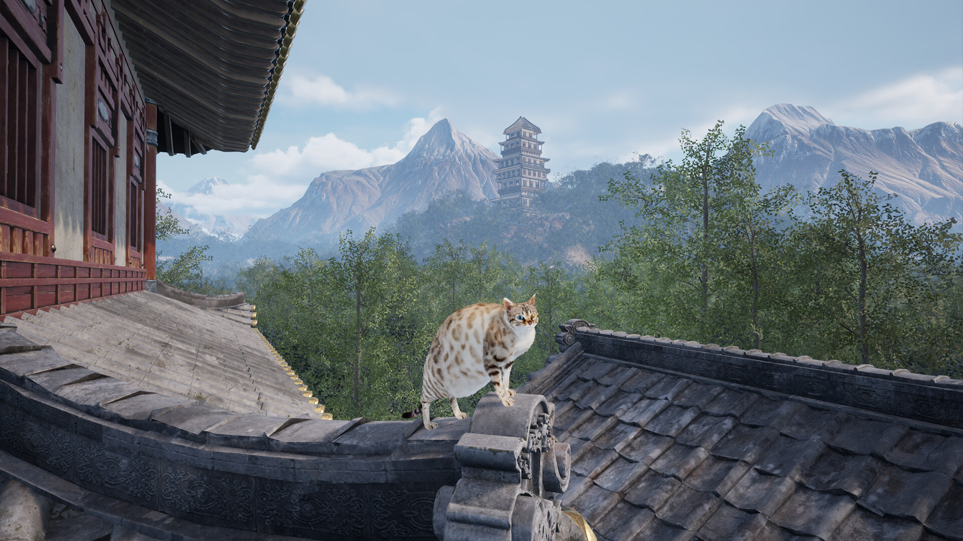 Chonky Cat Screenshot 3