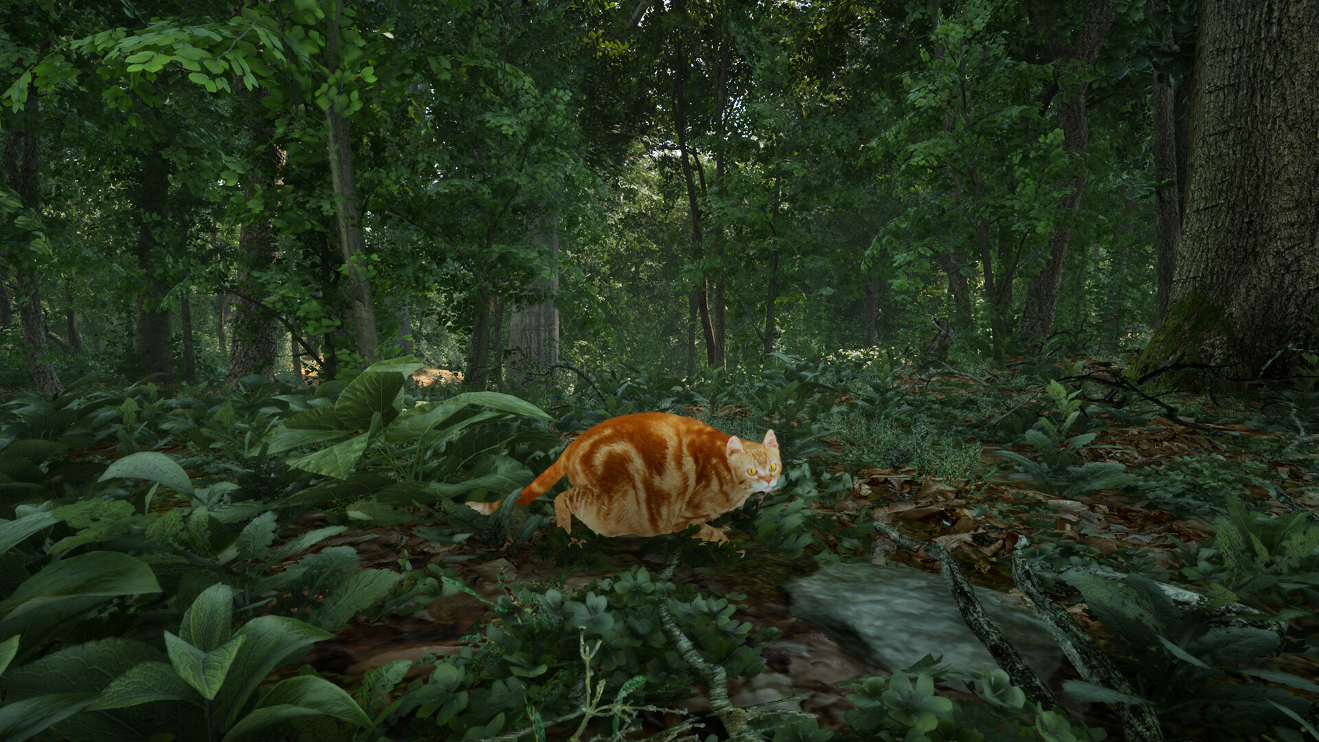 Chonky Cat Screenshot 2