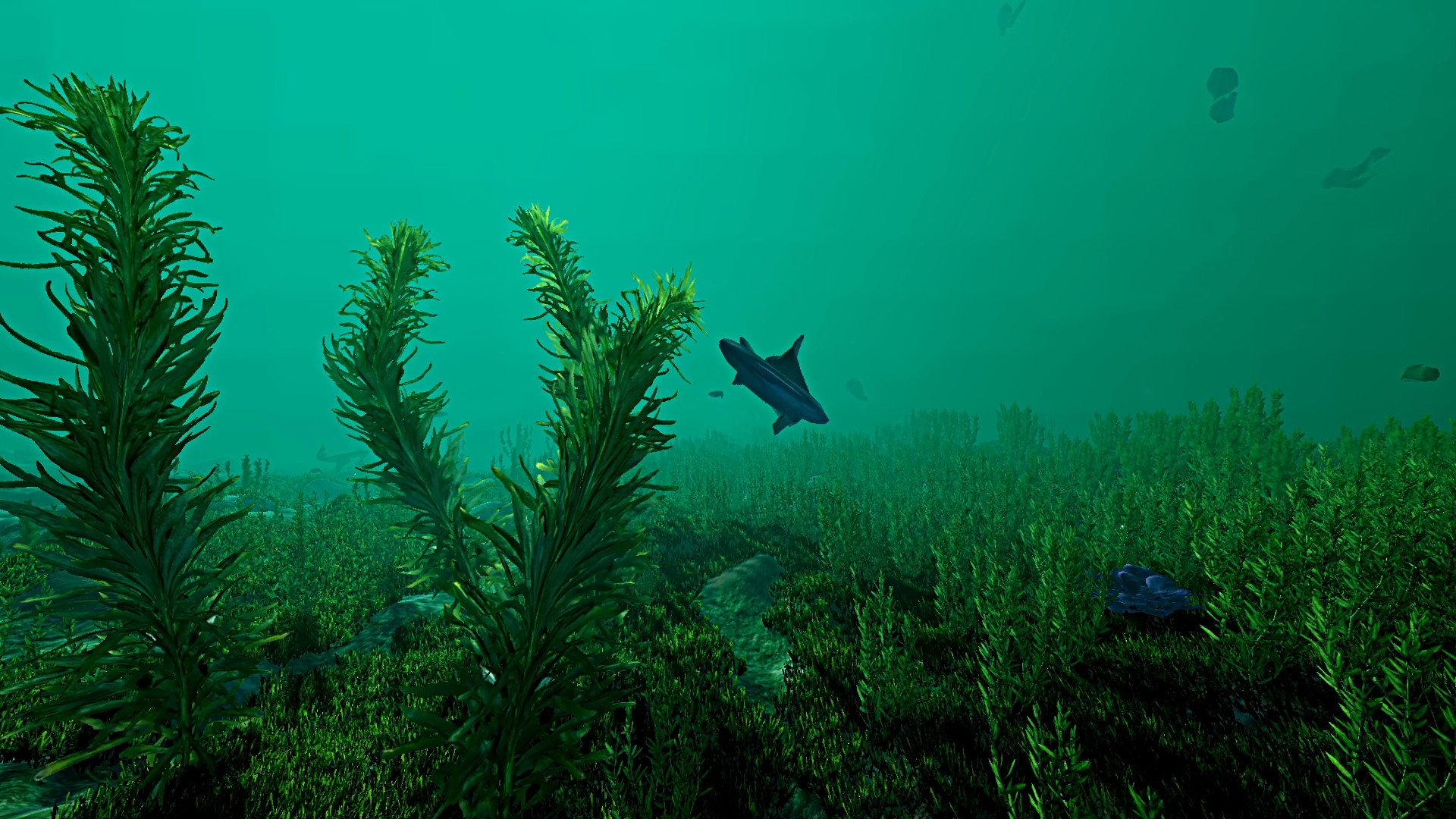 Ecosystem Screenshot 10