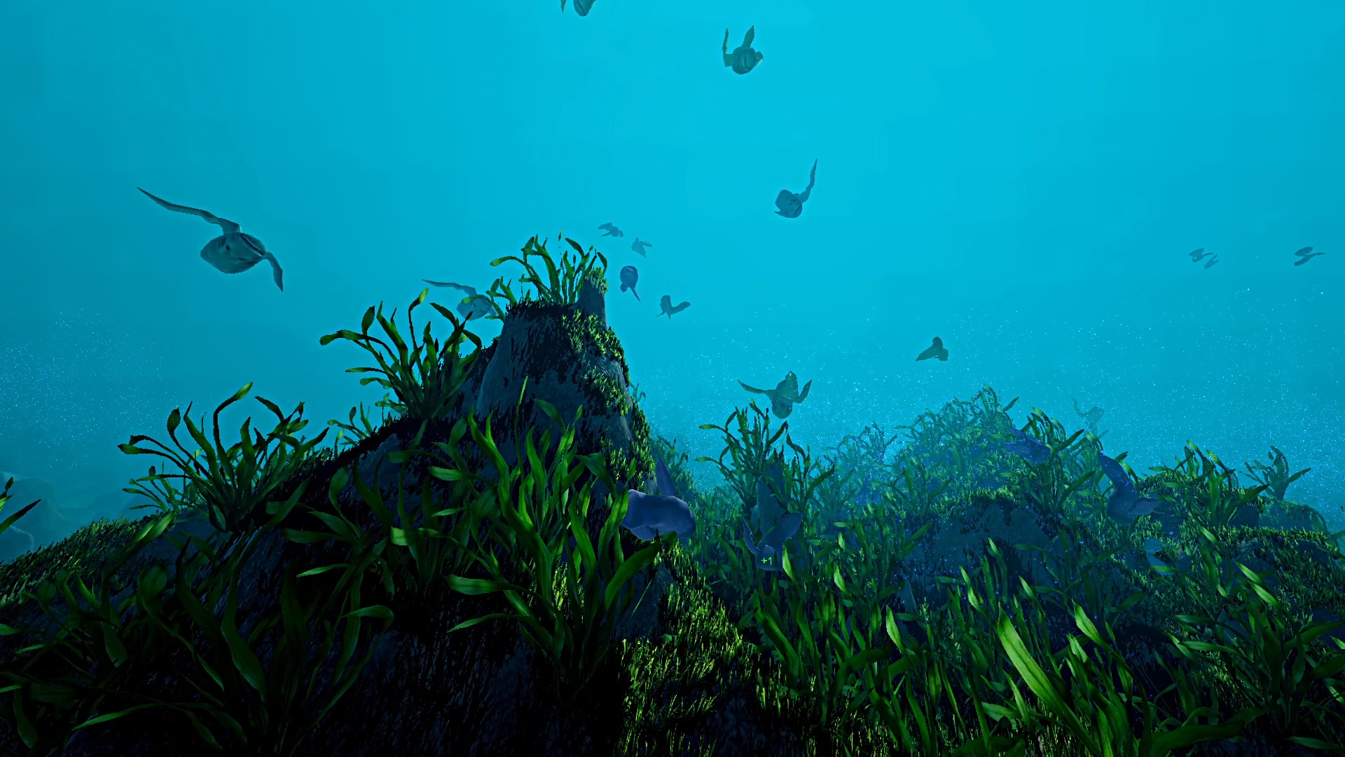 Ecosystem Screenshot 5