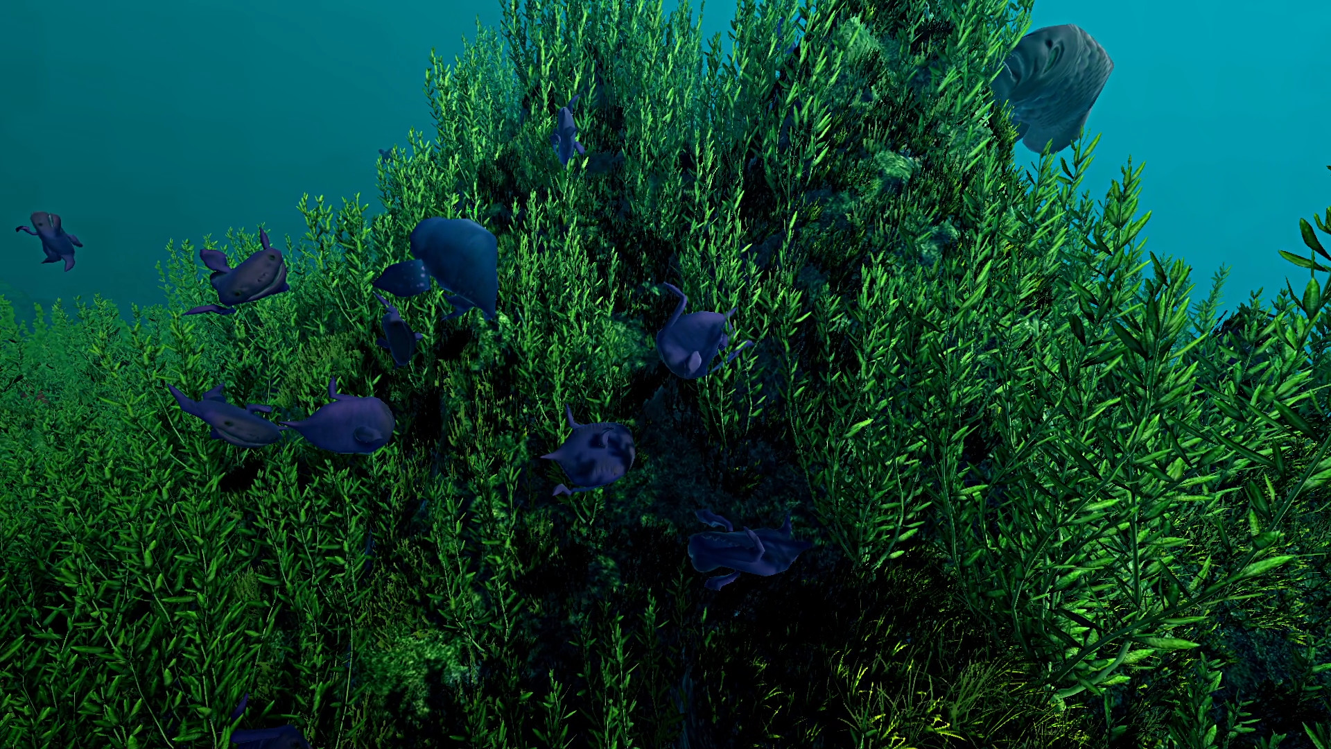 Ecosystem Screenshot 3