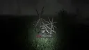 The Disappearance of Emily Crowe Demo Screenshot 1