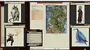 Fantasy Grounds - Pathfinder RPG - Campaign Setting: The First World, Realm of the Fey Screenshot 0