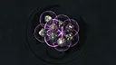 Fantasy Grounds - Monsters NPC Dice Pack Volume 1 Screenshot 0
