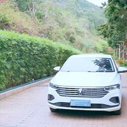 The country does not support lazy people icon