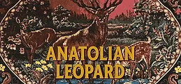 Anatolian Leopard