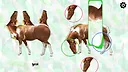 Horse Magnifier: The Full Horse Screenshot 4