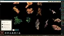 Fantasy Grounds - Map Enhancers Dragon Lairs Screenshot 1