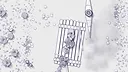 12 is Better Than 6: The Apostles Screenshot 3