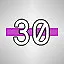 Slat #30 icon