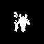 探索 icon
