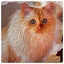 Cat 42 icon