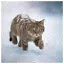 Cat 9 icon