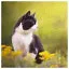 Cat 1 icon