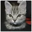 Cat 27 icon