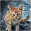 Cat 10 icon