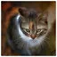 Cat 46 icon