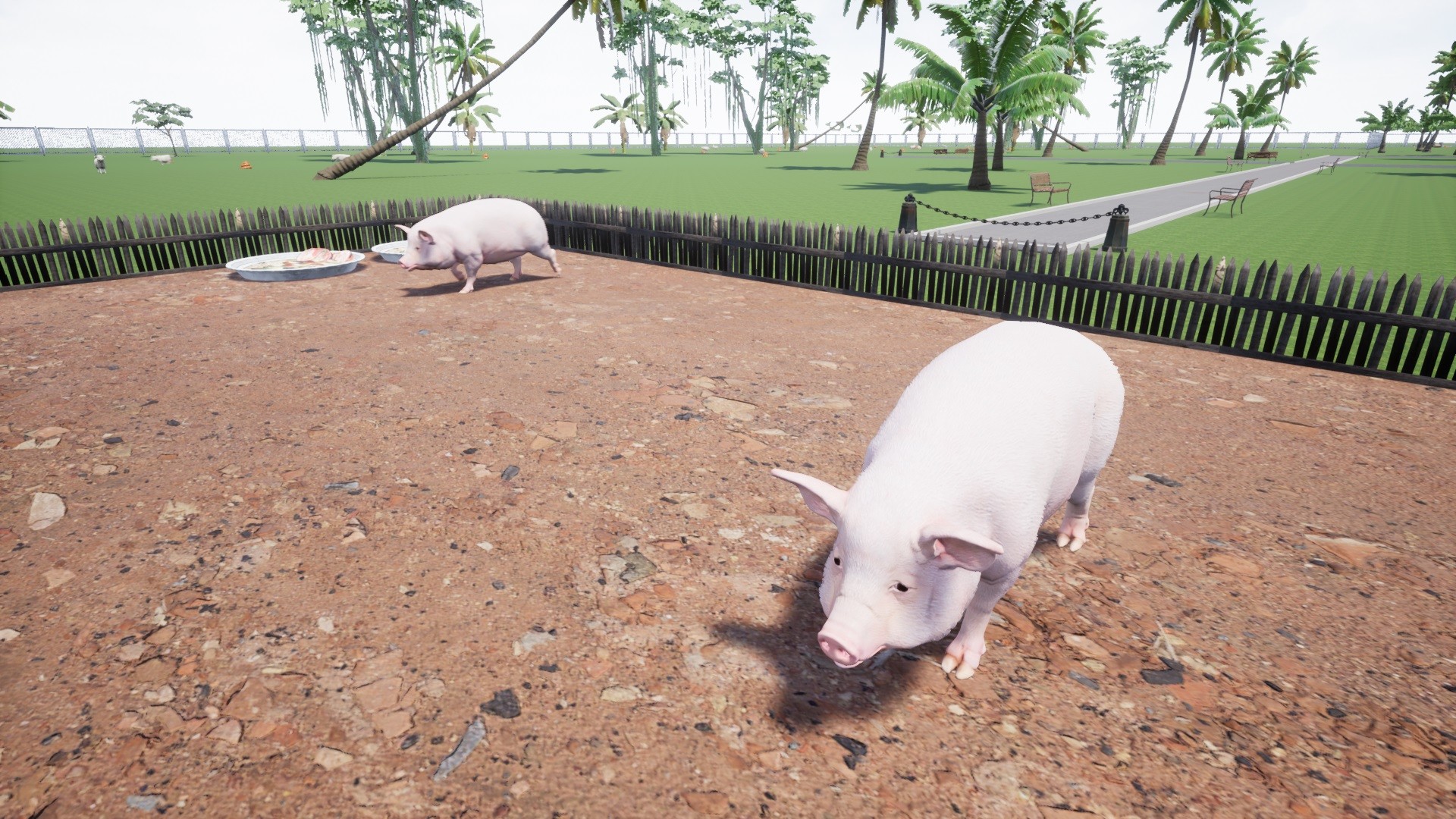 Zoo Cleaner Screenshot 3