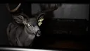 Pacify Screenshot 19