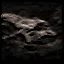Baby Dragon icon