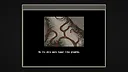 Bloody Grids Demo Screenshot 3