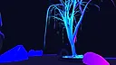Yon Paradox Screenshot 7
